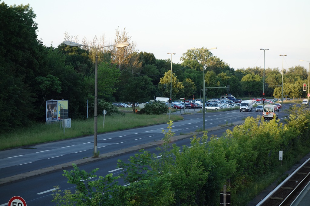 DSC00717.JPG