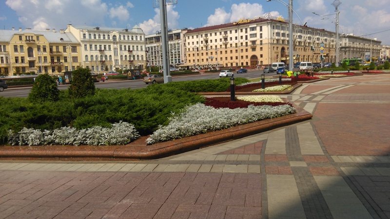IMAG0006.jpg
