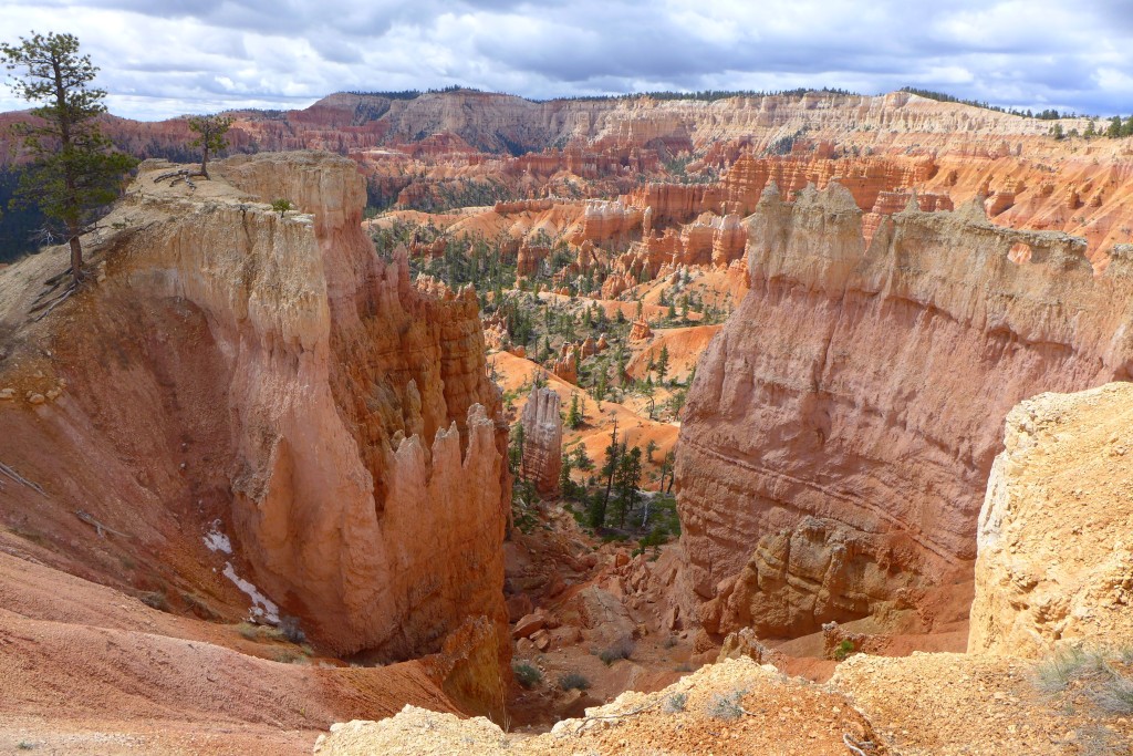 P1010738.JPG