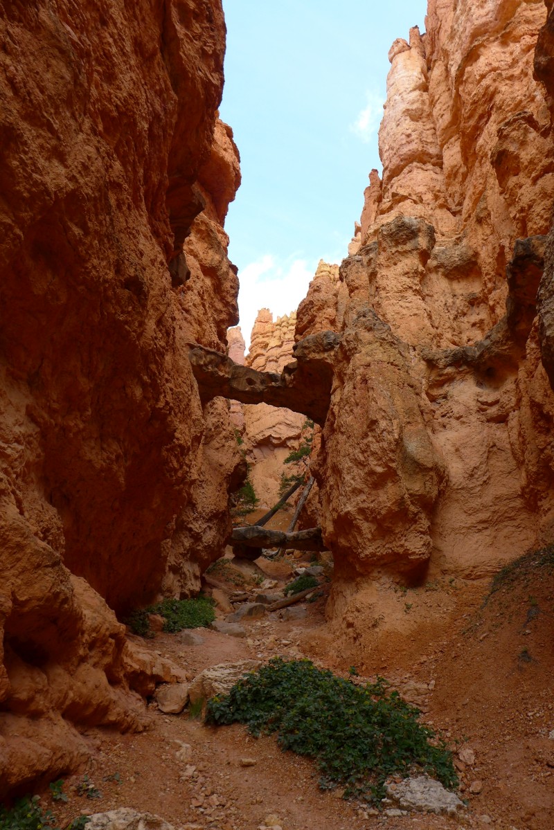 P1010800.JPG