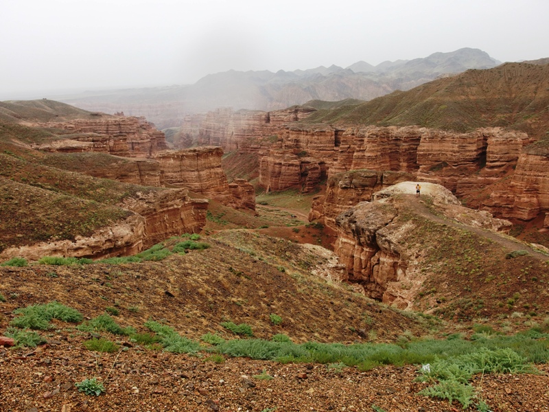 P7311090.JPG