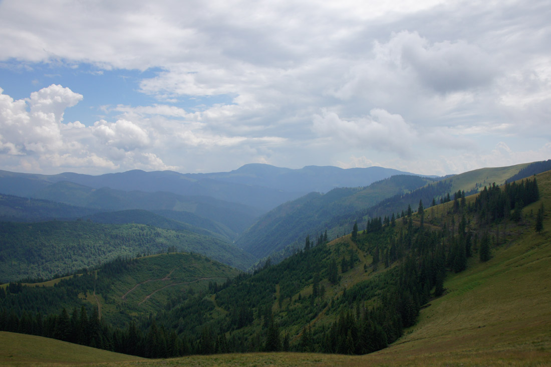 DSC09926.JPG