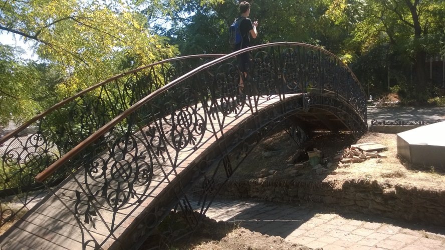 WP_20160810_048.jpg