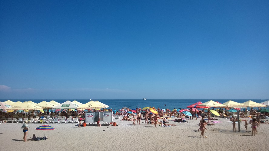 WP_20160810_082.jpg