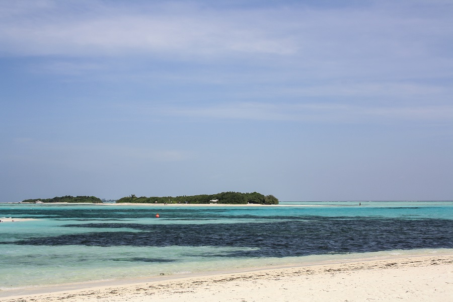 IMG_5569.jpg