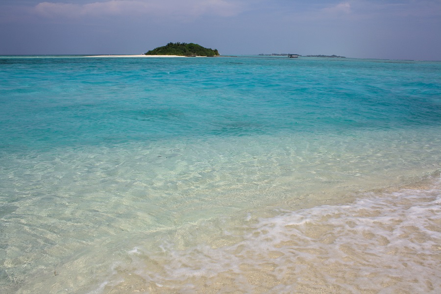 IMG_5745.jpg
