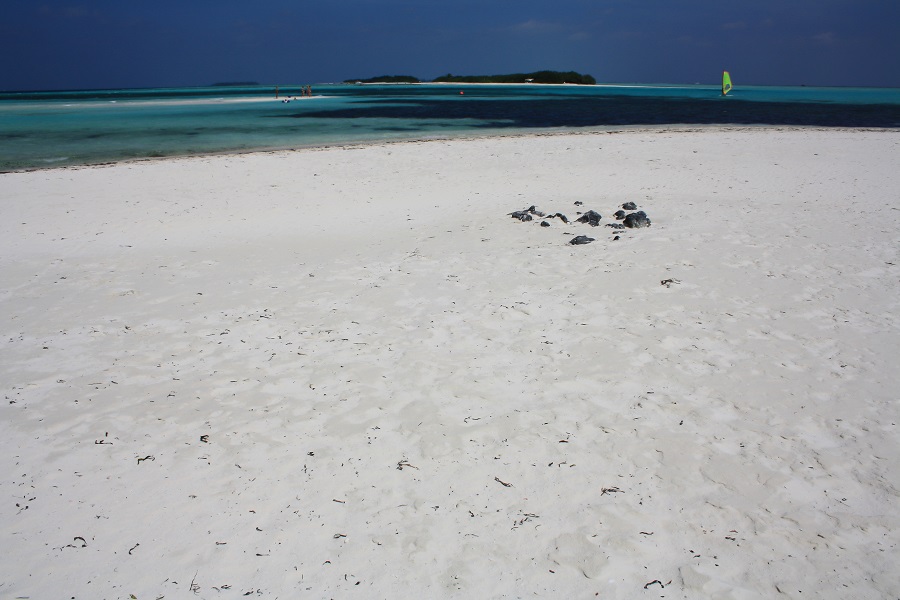 IMG_5579.jpg