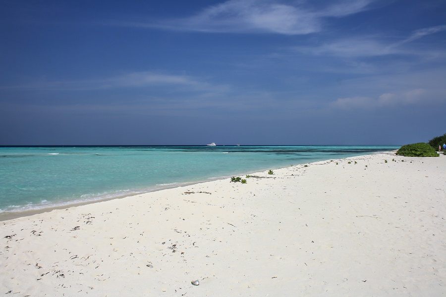 IMG_5734.jpg