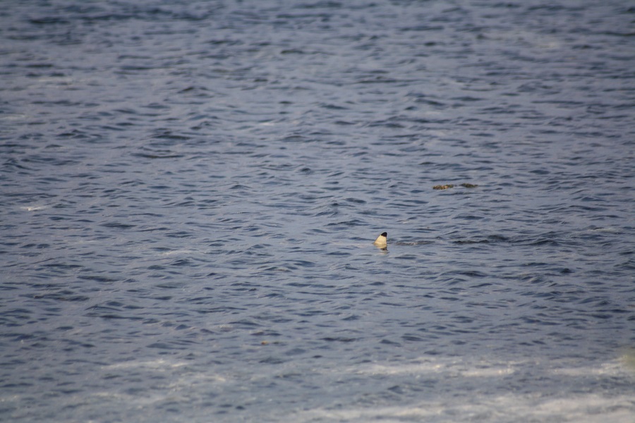 IMG_5630.jpg