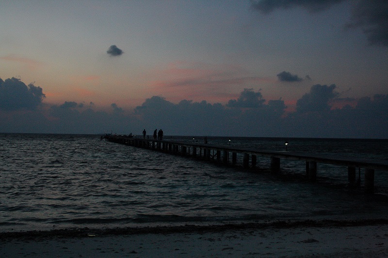 IMG_5676.jpg