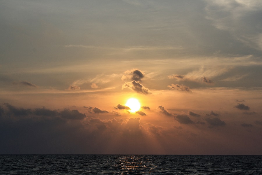 IMG_5879.jpg