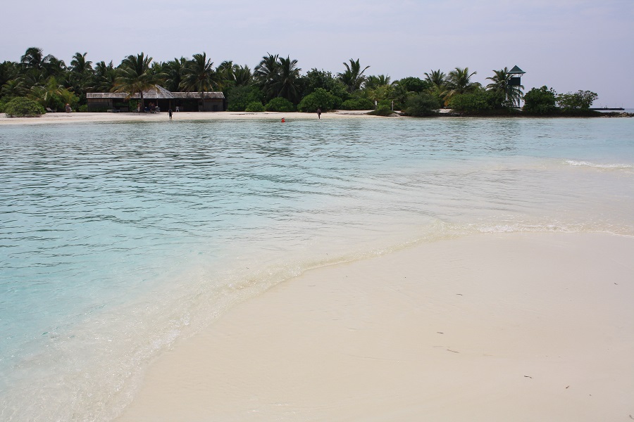 IMG_6067.jpg