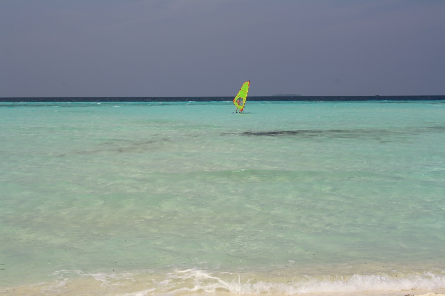 IMG_5735.jpg