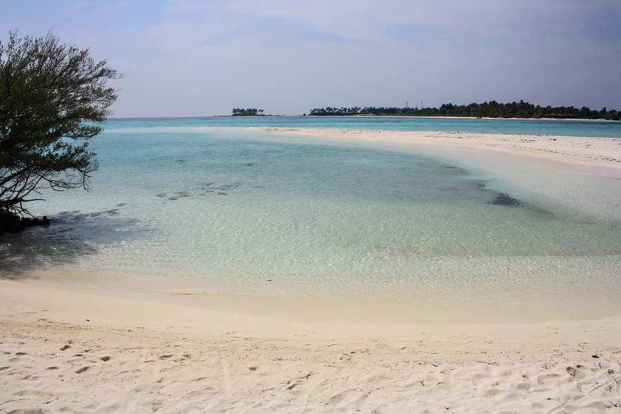 IMG_5731.jpg