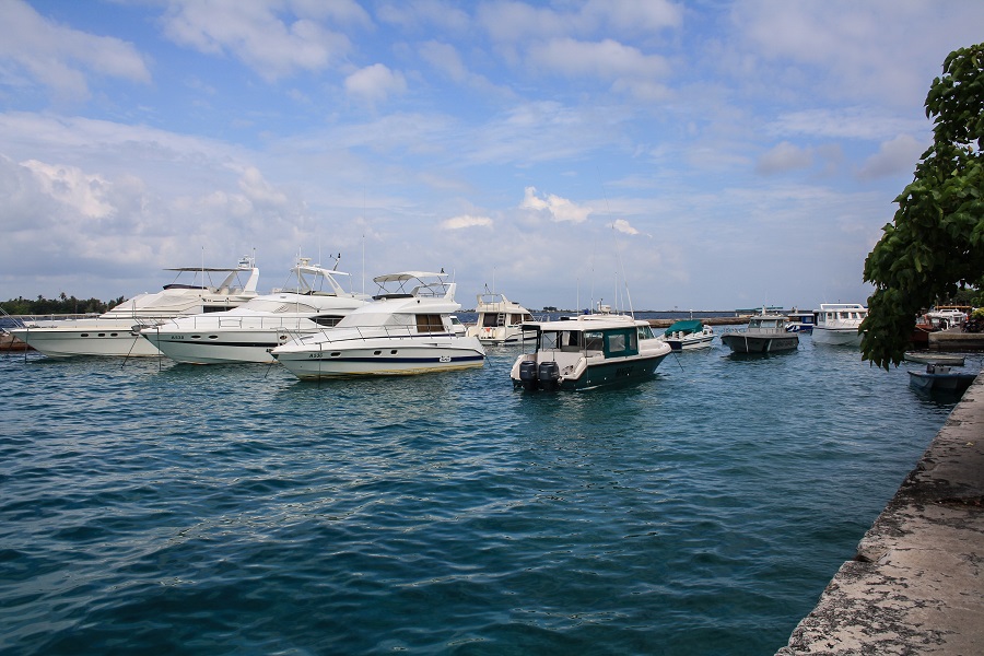 IMG_6406.jpg