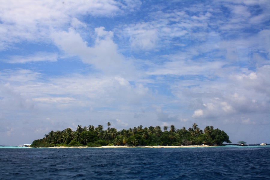 IMG_6375.jpg