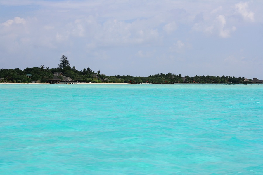 IMG_6389.jpg