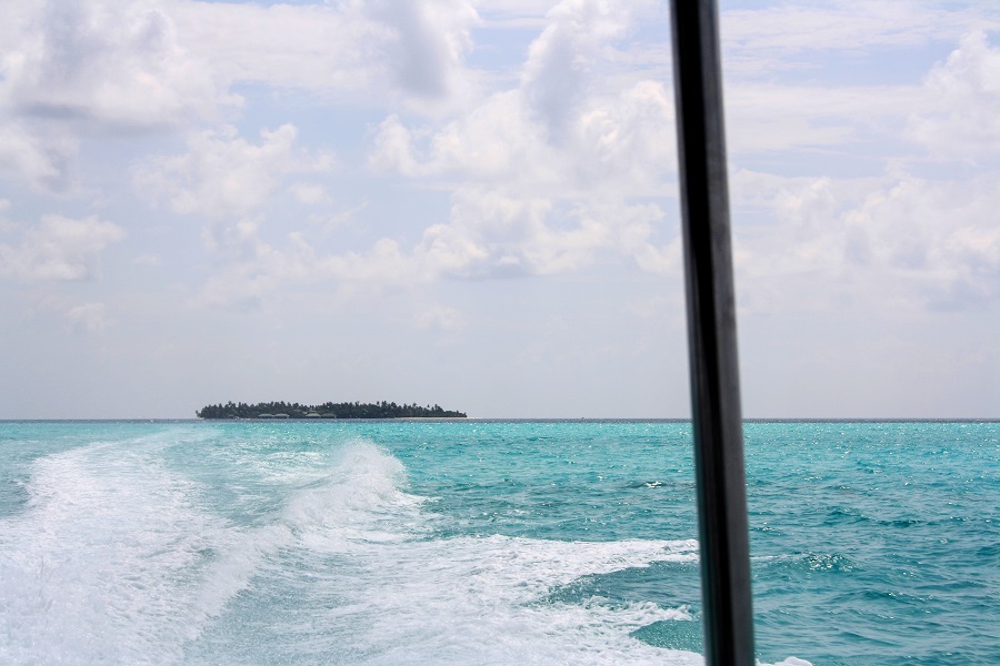 IMG_6392.jpg