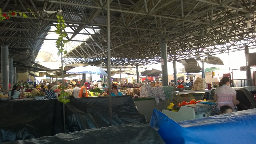 WP_20160808_013.jpg