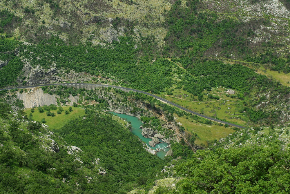 IMGP4167.jpg