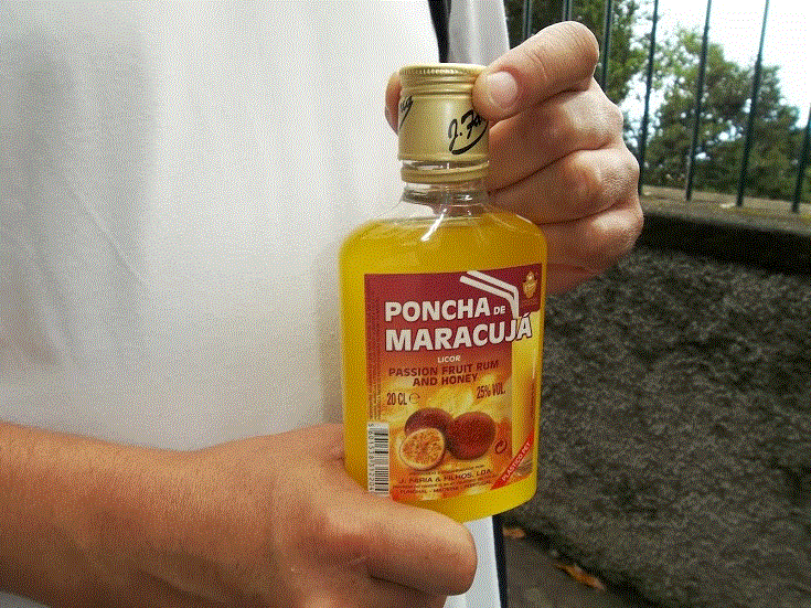 poncha.gif