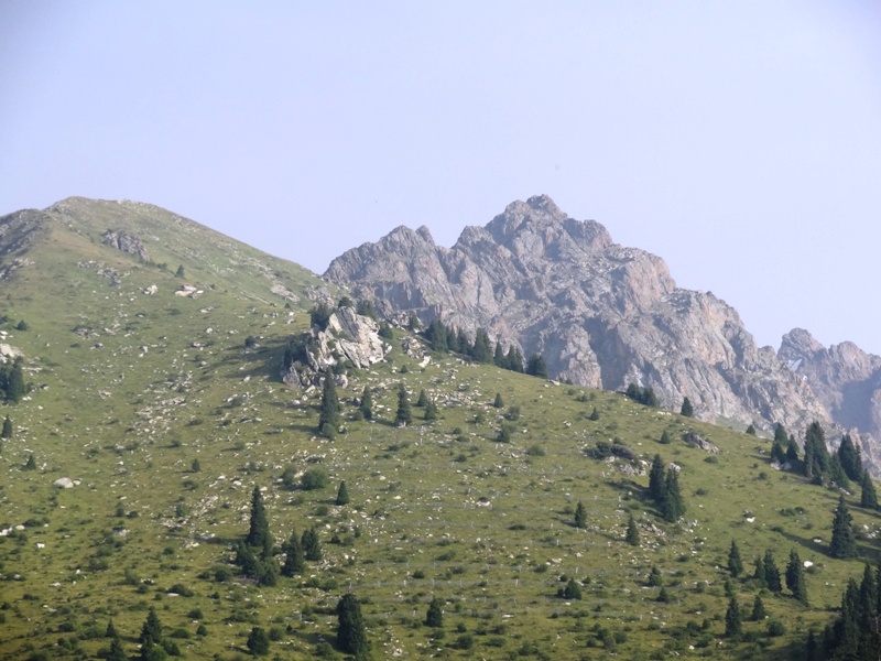 DSC05949.JPG
