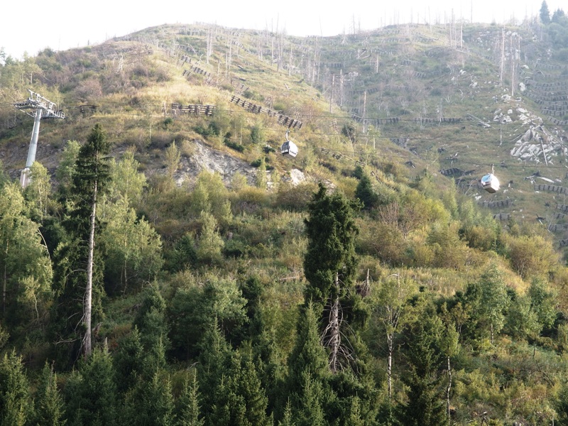 P8101963.JPG