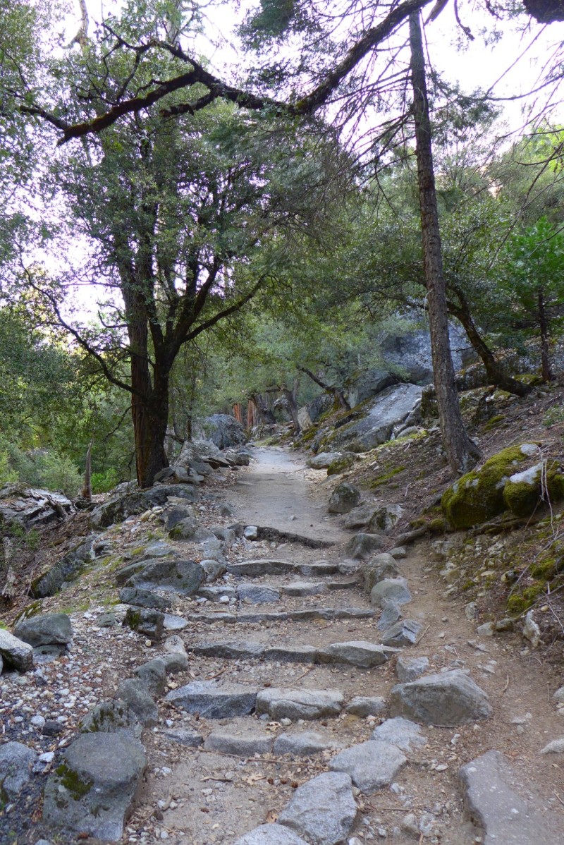 P1020334.JPG