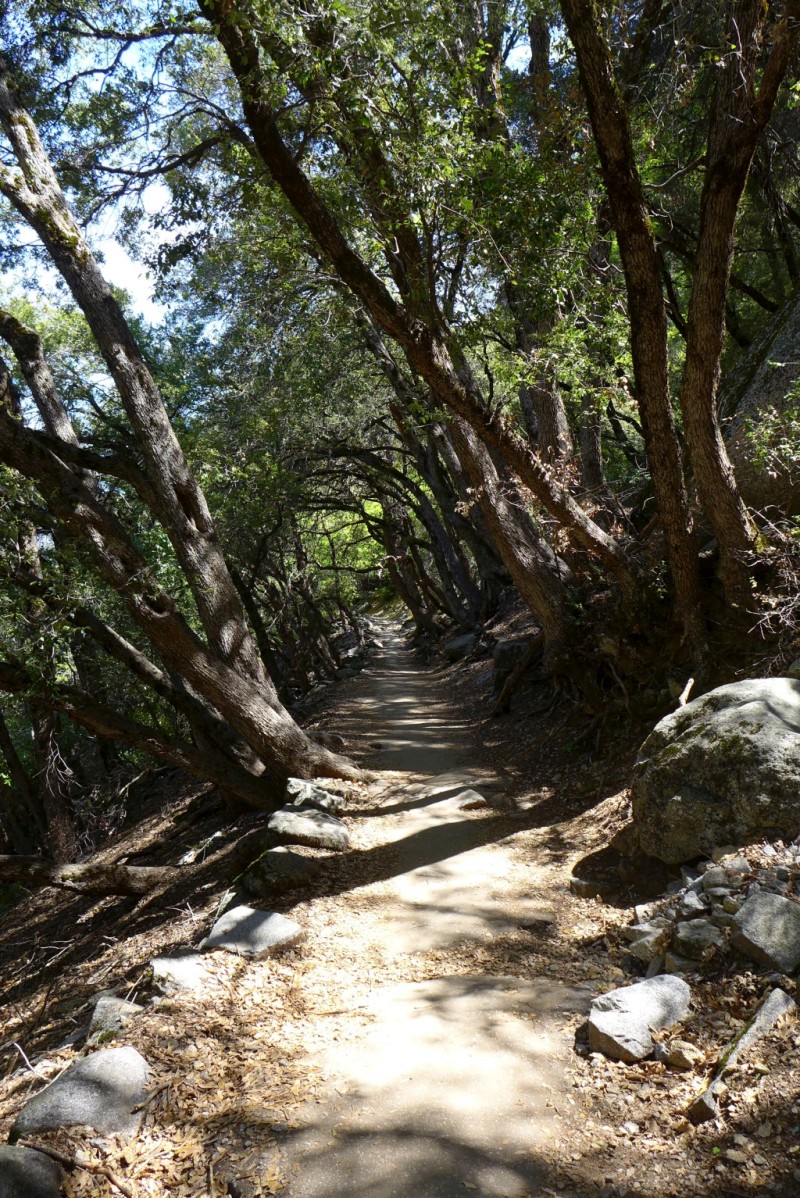P1020357.JPG