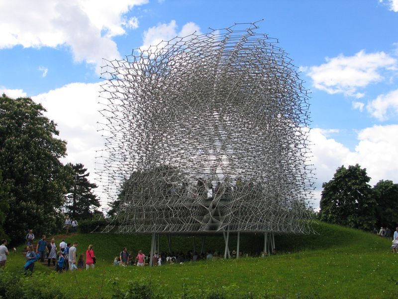 54.JPG