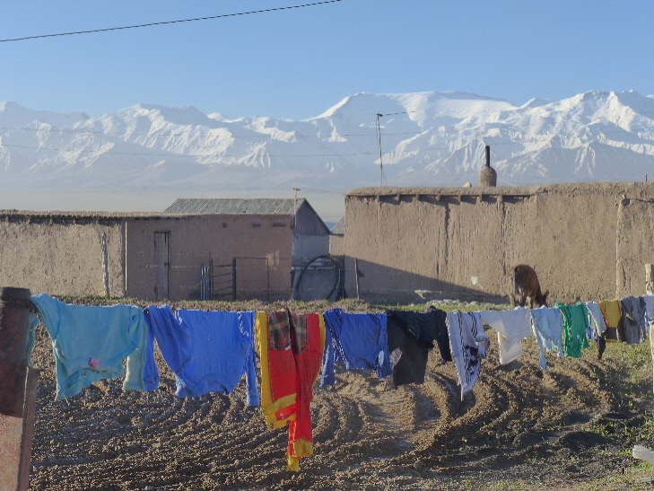 P1000731.JPG