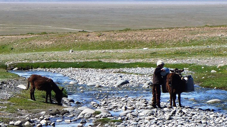 P1000756.JPG