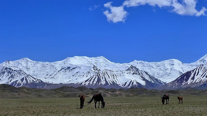 P1000800.JPG