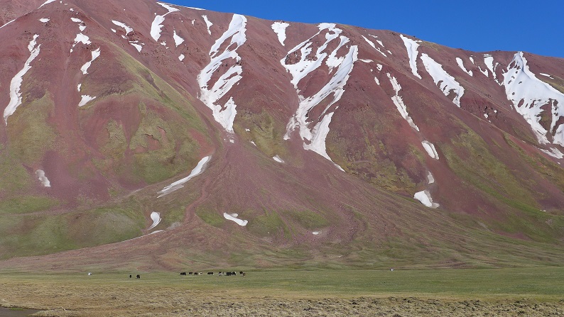 P1000839.JPG