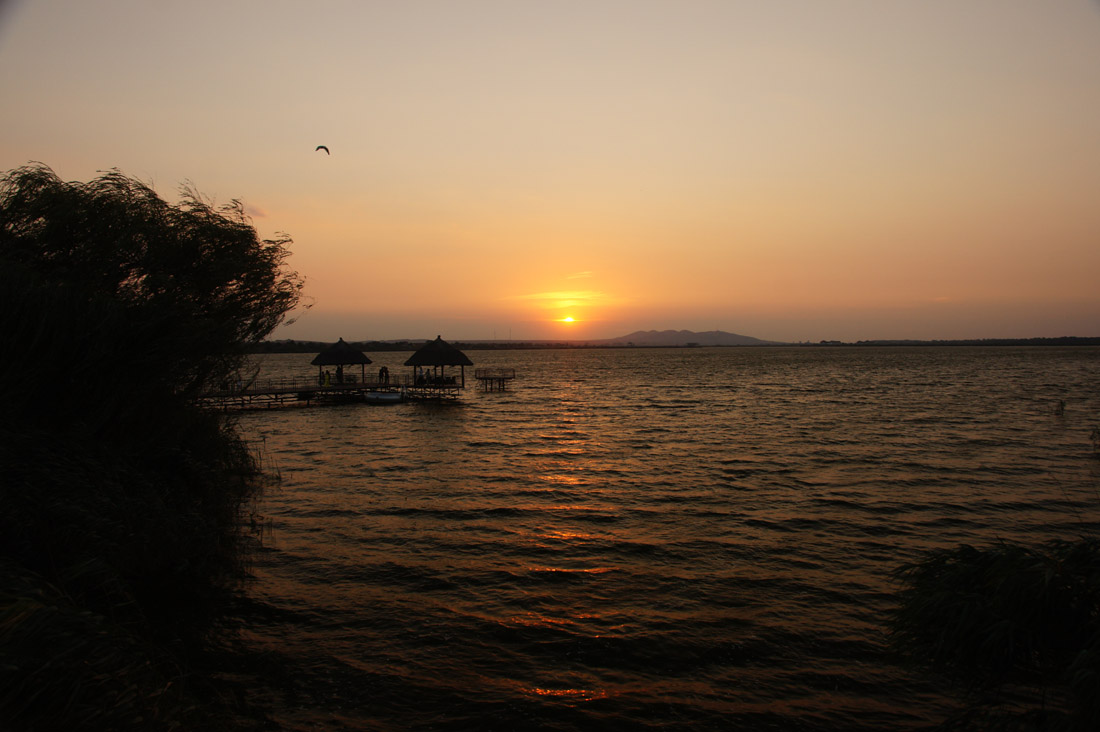 DSC00556.JPG