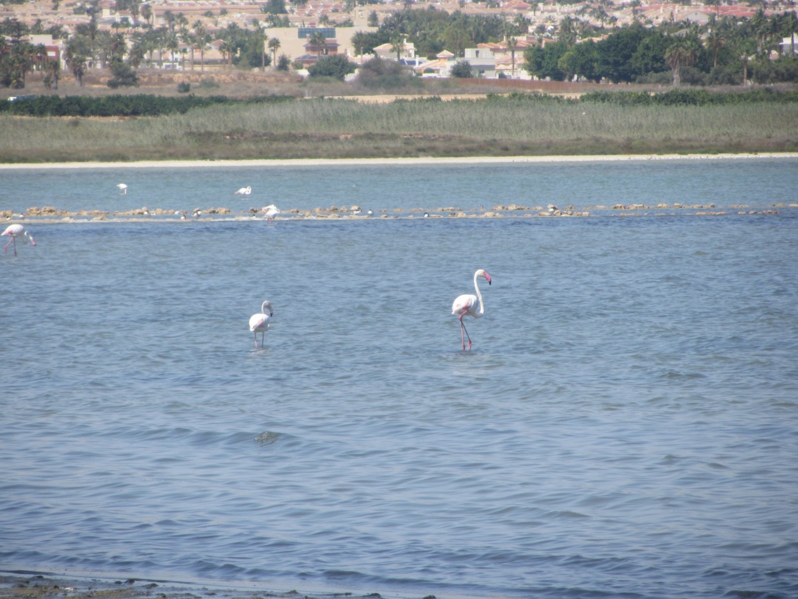 IMG_3586.JPG