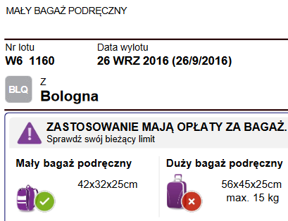 wizz 2.PNG