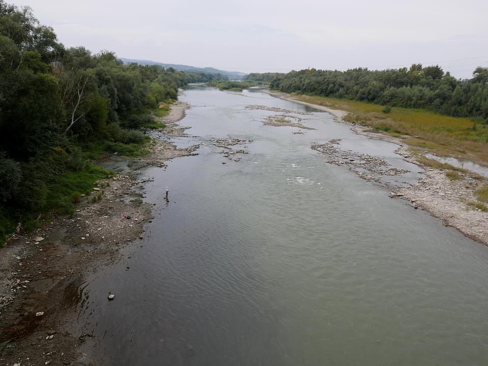 P1010185.jpg
