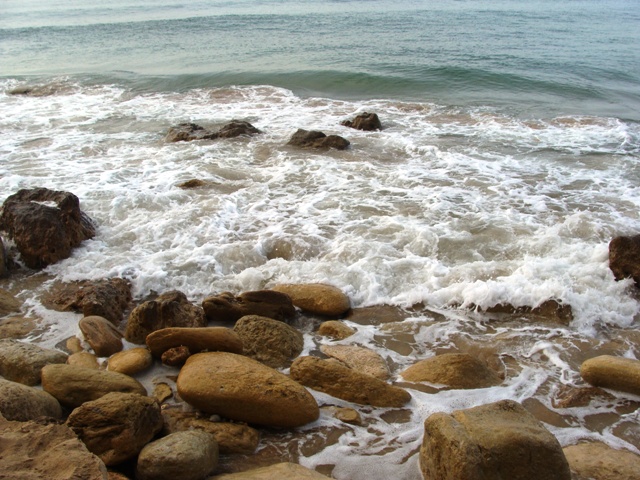 DSC04369.JPG