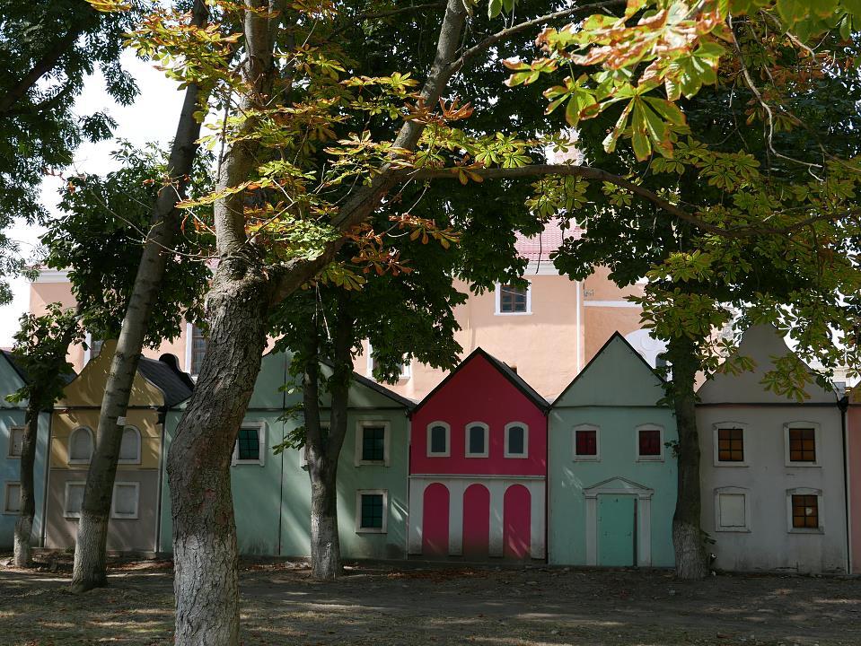 P1010242.jpg