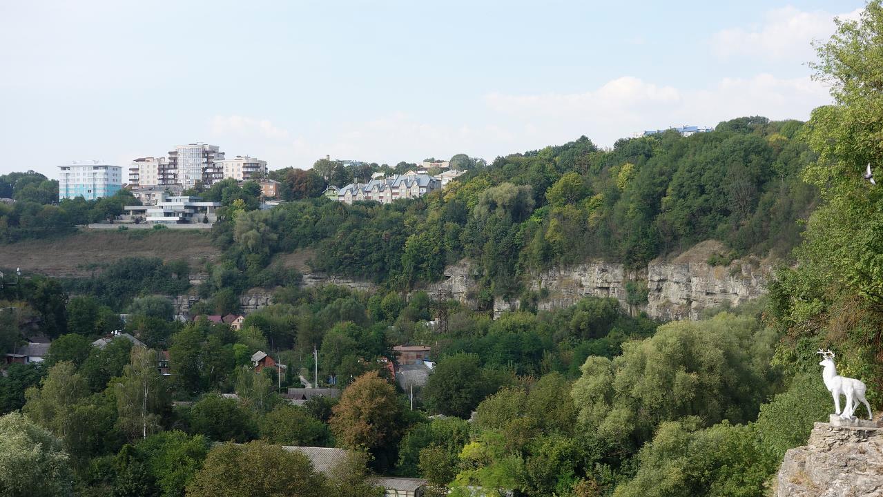 DSC03593.jpg