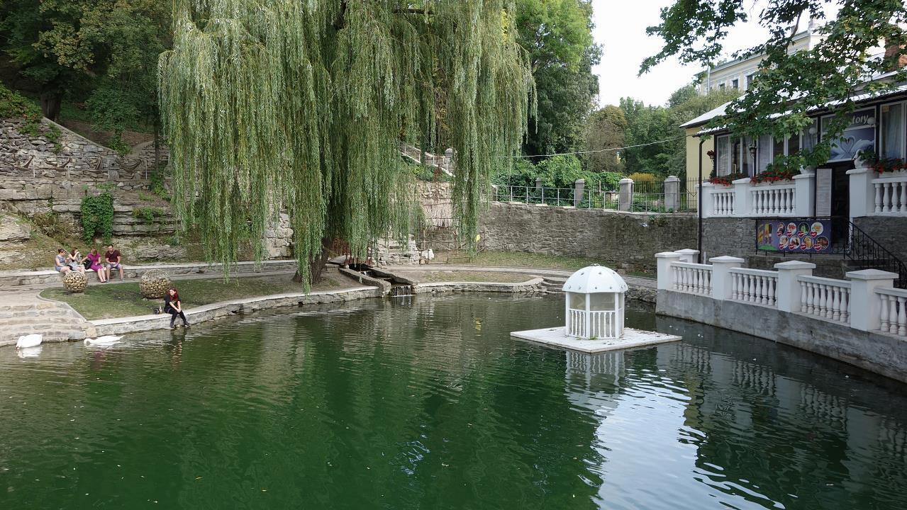 DSC03595.jpg