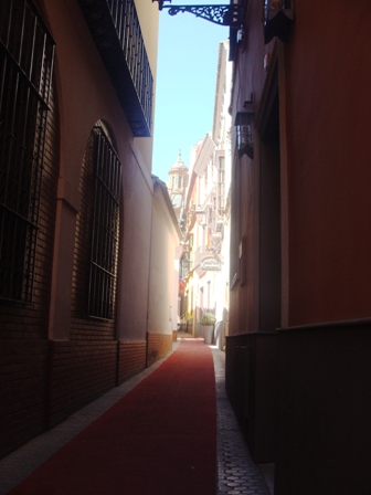 DSC04236.JPG