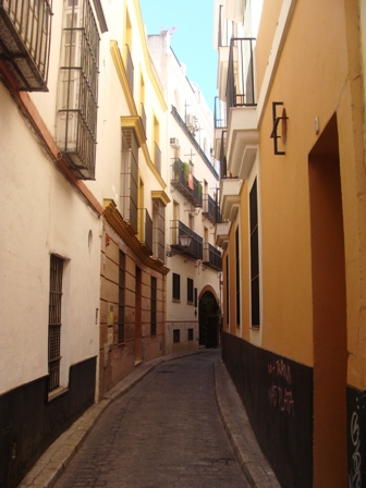 DSC04238.JPG
