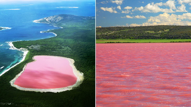 Pink_Lake_Hillier.jpg