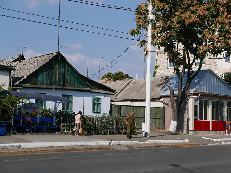 P1010410.jpg