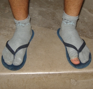 cebula.jpg