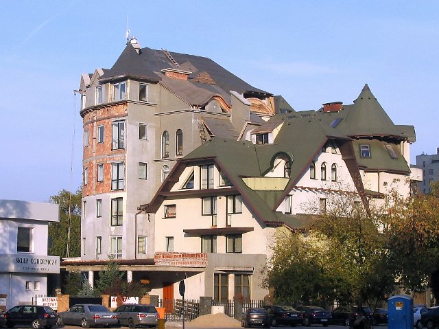 czarny kot.jpg