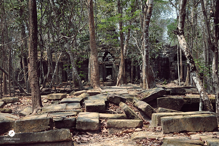 c_0725-copy.jpg