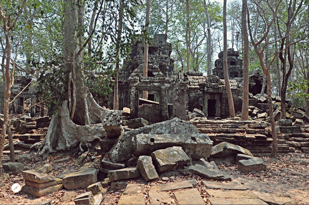 c_07001.jpg